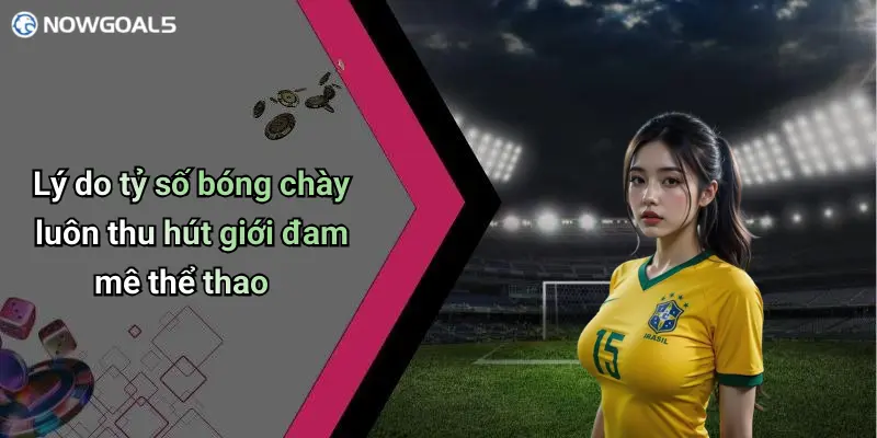 Lý do tỷ số bóng chày luôn thu hút giới đam mê thể thao