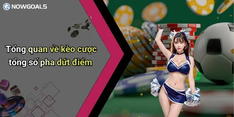 Tổng quan về kèo cược tổng số pha dứt điểm