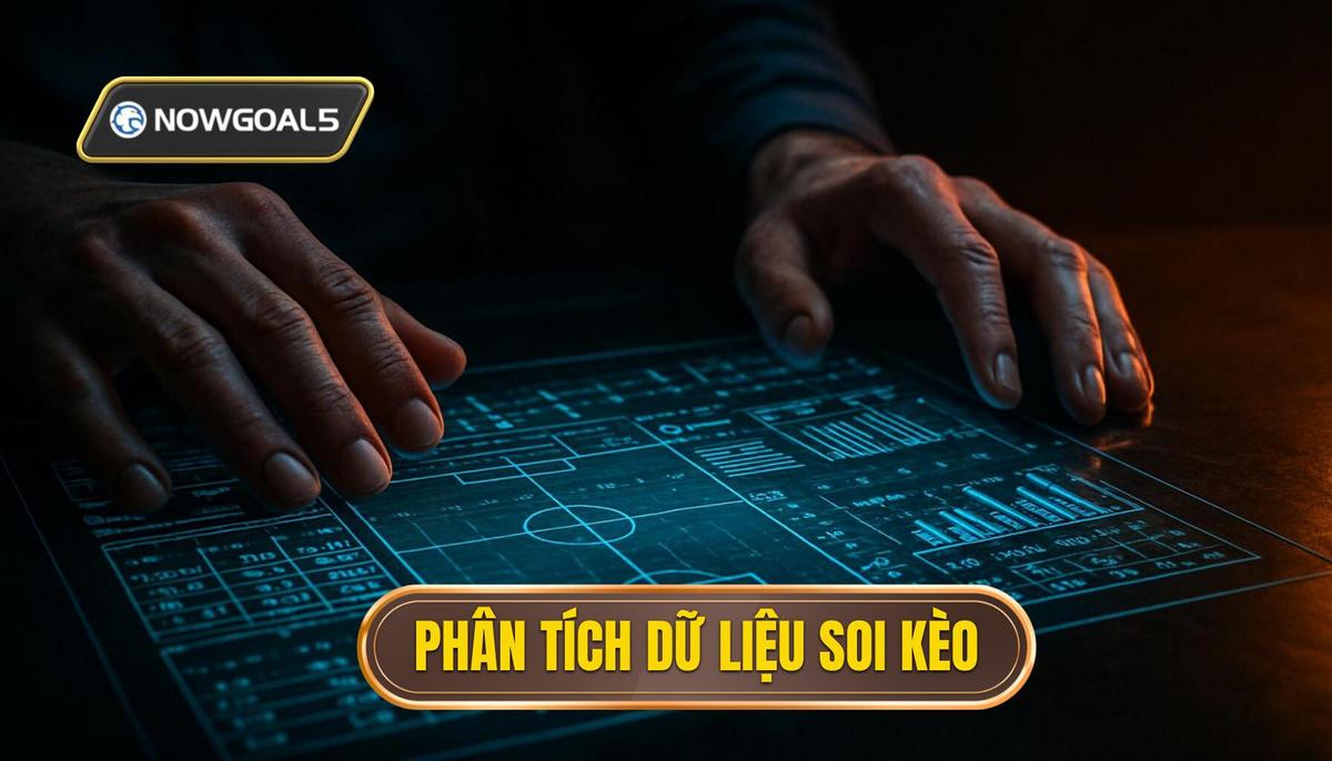 Phân tích dữ liệu định lượng và định tính trong soi kèo