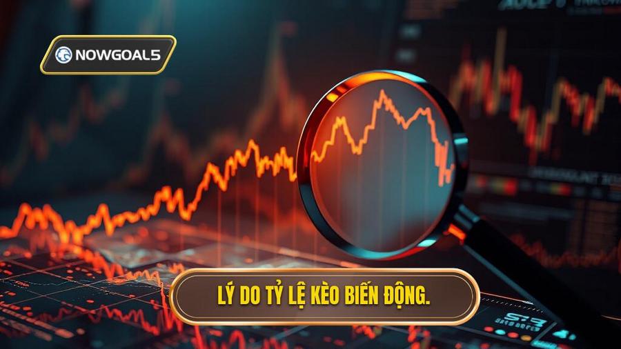 Lý do tỷ lệ kèo biến động