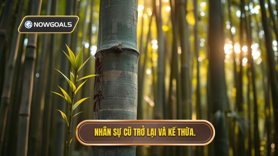 Nhân sự cũ trở lại và kế thừa.