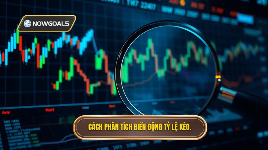 Cách phân tích biến động tỷ lệ kèo