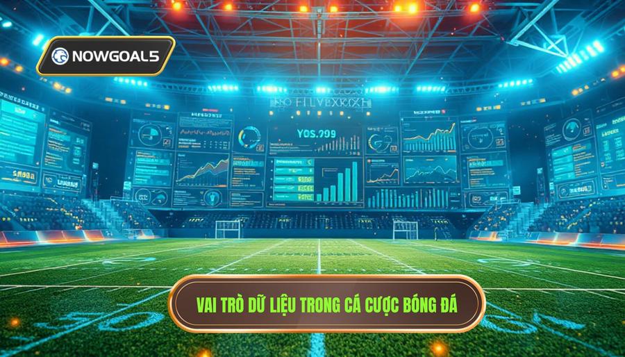 Vai trò dữ liệu trong cá cược bóng đá
