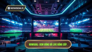 Xem Bóng Đá Live Nowgoal: Trực Tiếp Kèo Nhà Cái & Tỷ Số 7M